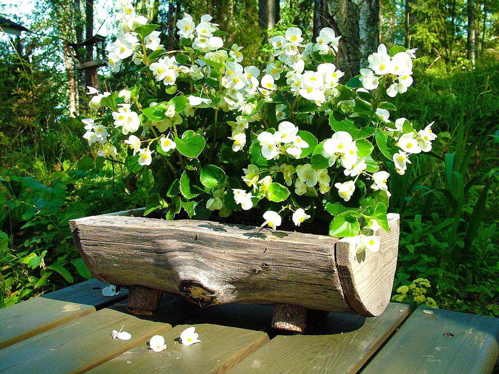 Blumenkasten aus Holz für Tulpen